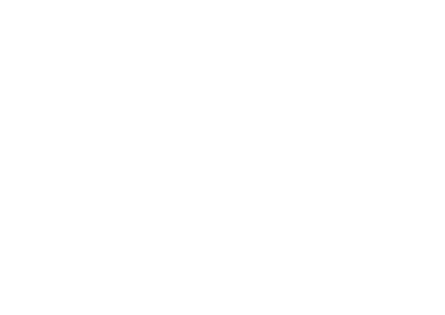 African Post Office logo