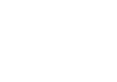 African Post Office logo